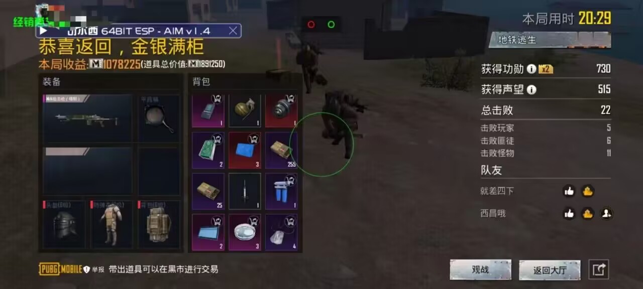 和平精英《牛牛》辅助